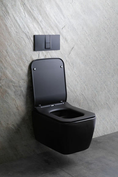 Унитаз Allen Brau Liberty 2 4.33007.31 подвесной Черный матовый без сиденья