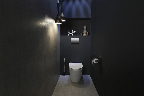 Унитаз Jacob Delafon Rodin+ EDAA102-00 приставной без сиденья