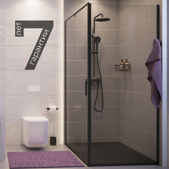 Душевой уголок WasserKRAFT Elbe 100x100 74P19 профиль Черный матовый стекло прозрачное