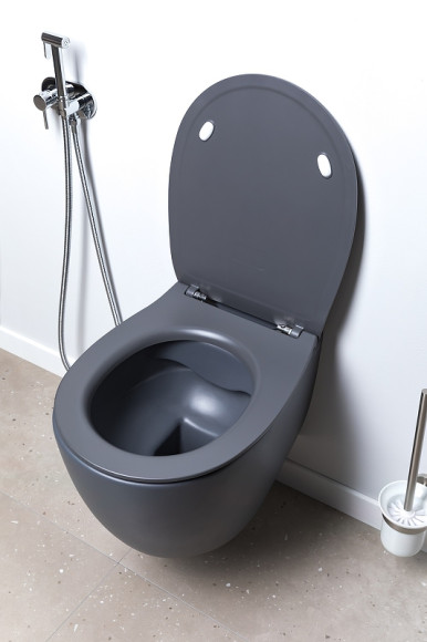 Унитаз Allen Brau Fantasy 4.11004.AN подвесной Антрацит без сиденья