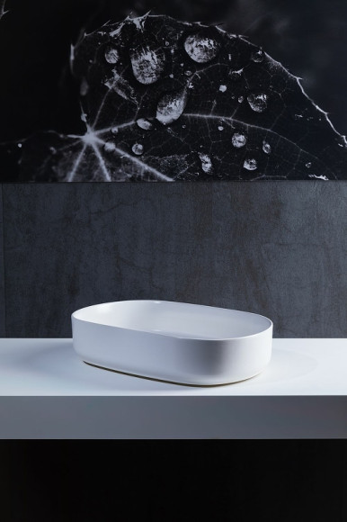 Раковина-чаша Allen Brau Fantasy 55 4.11022.21 Белая матовая Раковина-чаша Allen Brau Fantasy 55 4.11022.21 Белая матовая