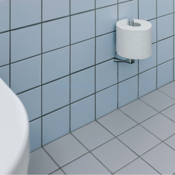 Держатель запасного рулона Kludi Ambienta 5397205 Хром Держатель запасного рулона Kludi Ambienta 5397205 Хром