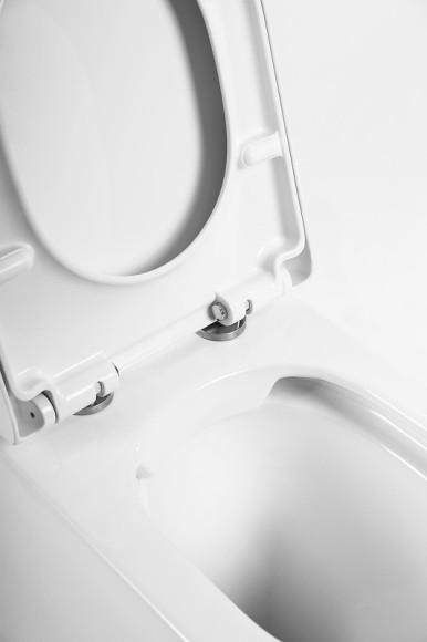 Унитаз BelBagno Flay-R BB1003CBR/BB865SC приставной с сиденьем Микролифт Унитаз BelBagno Flay-R BB1003CBR/BB865SC приставной с сиденьем Микролифт