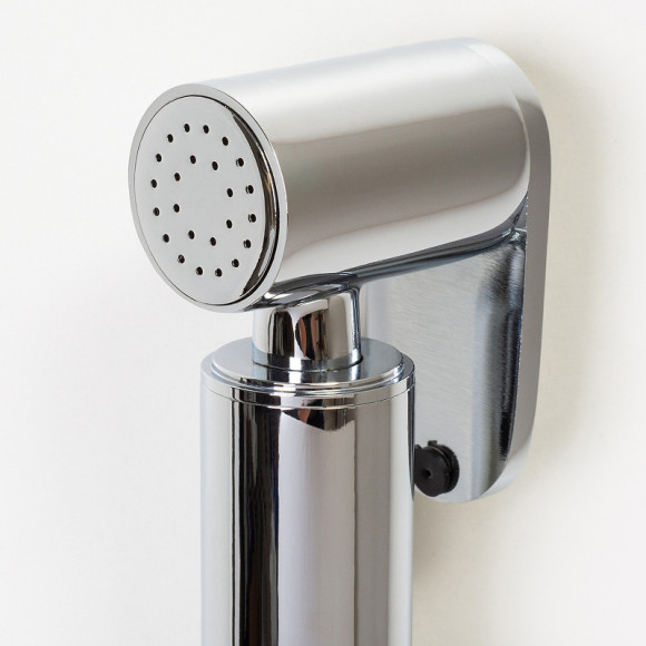 Гигиенический душ со смесителем WasserKRAFT A70138 Хром