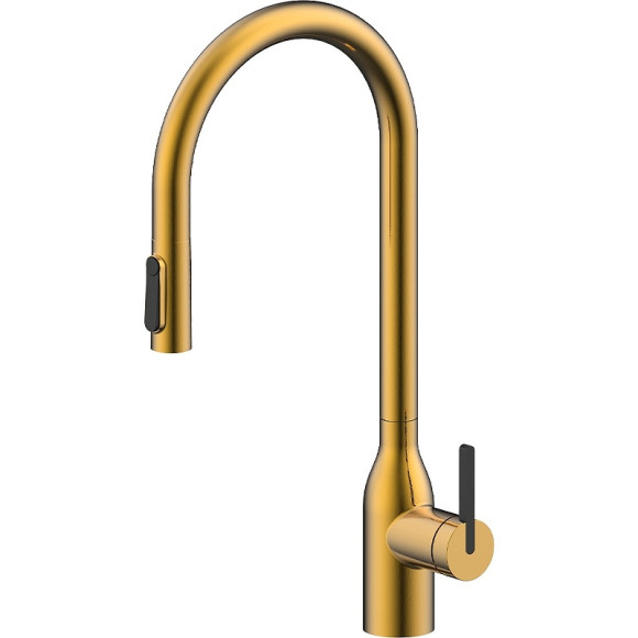 Смеситель для кухни Paulmark Universal Un213880-BG Брашированное золото