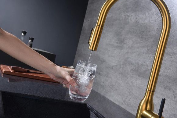 Смеситель для кухни Paulmark Universal Un213880-BG Брашированное золото Смеситель для кухни Paulmark Universal Un213880-BG Брашированное золото