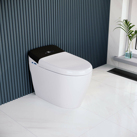 Унитаз биде RGW SW-30 63420130-01 приставной с сиденьем Микролифт Унитаз биде RGW SW-30 63420130-01 приставной с сиденьем Микролифт