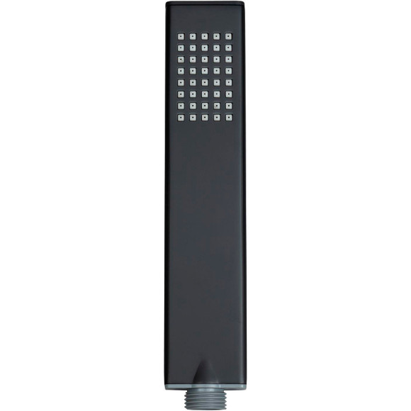 Ручной душ Allen Brau Infinity 5.21022-31 Черный матовый