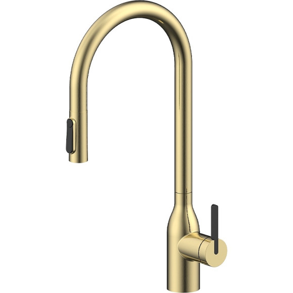 Смеситель для кухни Paulmark Universal Un213880-SBG Светлое брашированное золото