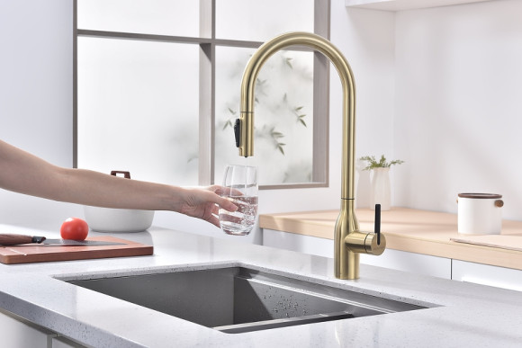 Смеситель для кухни Paulmark Universal Un213880-SBG Светлое брашированное золото Смеситель для кухни Paulmark Universal Un213880-SBG Светлое брашированное золото