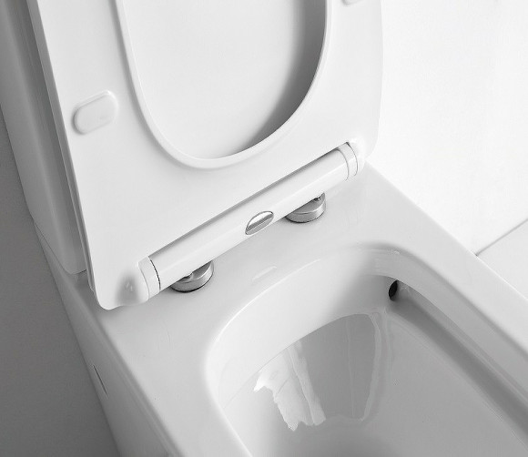 Унитаз компакт CeramaLux TR2170-1 с бачком и сиденьем Микролифт