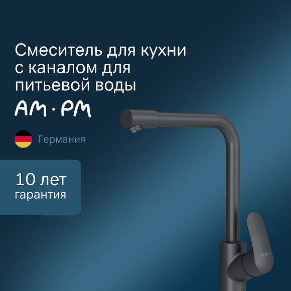 Смеситель для кухни AM.PM Like F8005722 Черный