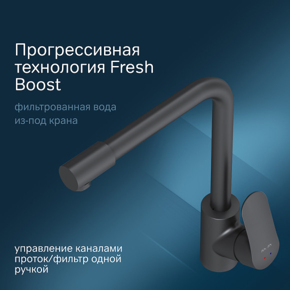 Смеситель для кухни AM.PM Like F8005722 Черный