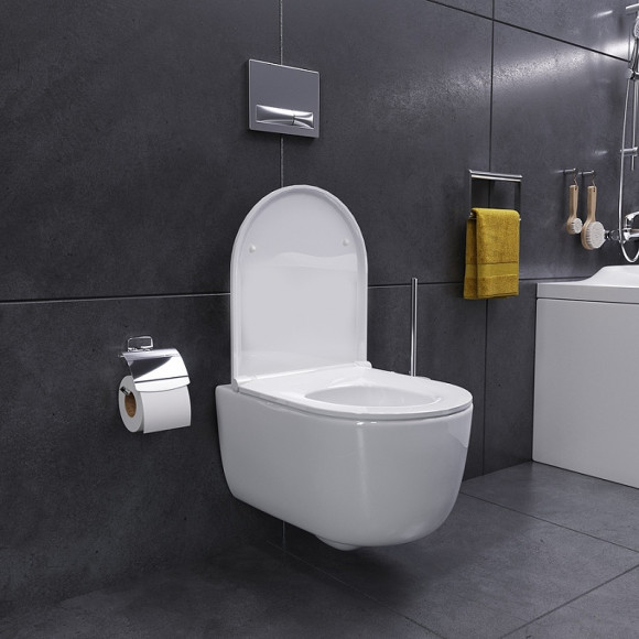 Унитаз Damixa Sirius DX86C1700SC подвесной с сиденьем Микролифт