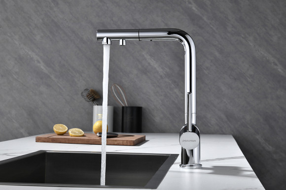 Смеситель для кухни Paulmark Serpentine Se213222-CR Хром Смеситель для кухни Paulmark Serpentine Se213222-CR Хром