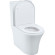 Унитаз компакт Iddis Stone STNRDSEi24 с бачком и сиденьем Микролифт