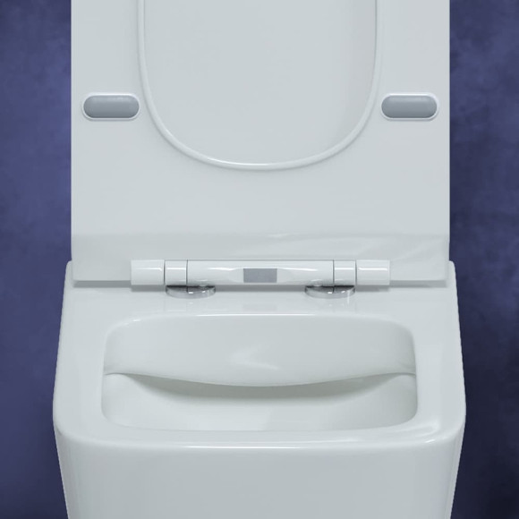 Комплект унитаза с инсталляцией Berges Floe Rimless 043283 с сиденьем Микролифт и Белой клавишей смыва Комплект унитаза с инсталляцией Berges Floe Rimless 043283 с сиденьем Микролифт и Белой клавишей смыва