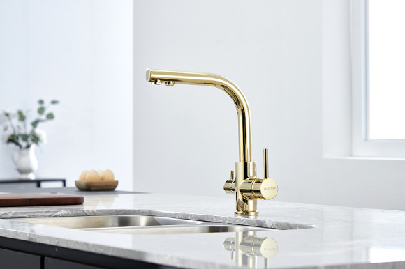 Смеситель для кухни Paulmark Essen Es213011-G Золото