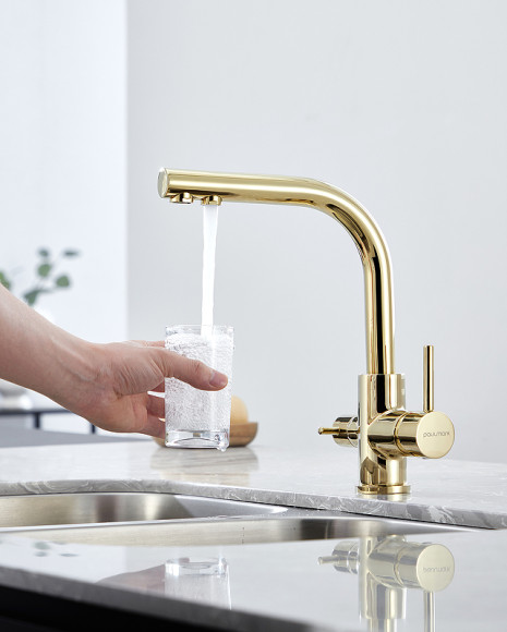Смеситель для кухни Paulmark Essen Es213011-G Золото