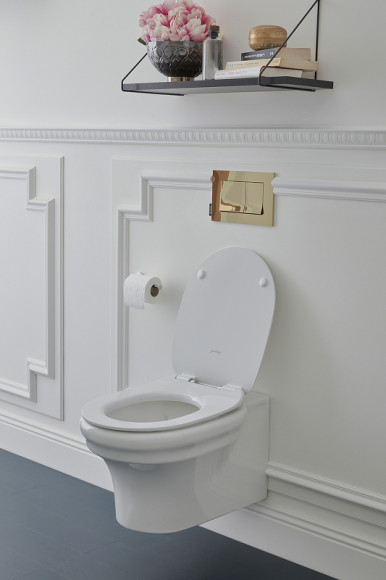 Унитаз Jacob Delafon Cleo 1889 EDZ102-0 подвесной без сиденья Унитаз Jacob Delafon Cleo 1889 EDZ102-0 подвесной без сиденья