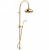 Душевая система Gattoni Programma Doccia 4293/PDD0 Золото 24 карат