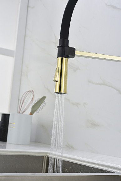 Смеситель для кухни Paulmark Halt Ha214021-G Золото