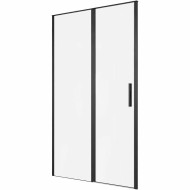 Душевая дверь Allen Brau Priority 120 3.31033.BBA профиль Черный браш стекло прозрачное
