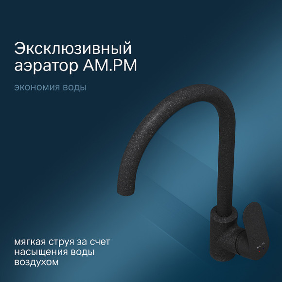 Смеситель для кухни AM.PM Like F8007122 Черный