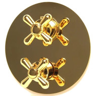 Смеситель для душа Webert Armony AM970903010 Золото