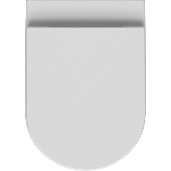 Унитаз Allen Brau Reality 4.32004.20 приставной Белый без сиденья