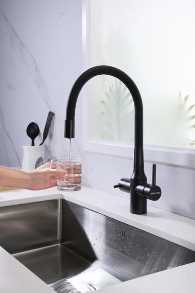 Смеситель для кухни Paulmark Salix Sa213419-418 Черный металлик Смеситель для кухни Paulmark Salix Sa213419-418 Черный металлик