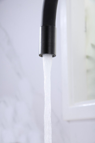 Смеситель для кухни Paulmark Salix Sa213419-418 Черный металлик Смеситель для кухни Paulmark Salix Sa213419-418 Черный металлик