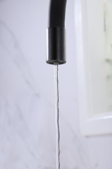 Смеситель для кухни Paulmark Salix Sa213419-418 Черный металлик Смеситель для кухни Paulmark Salix Sa213419-418 Черный металлик