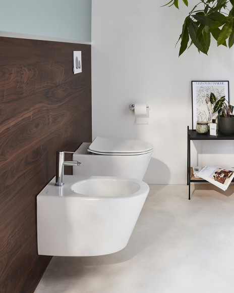 Унитаз Jacob Delafon Bastille EDAB102-00 подвесной без сиденья