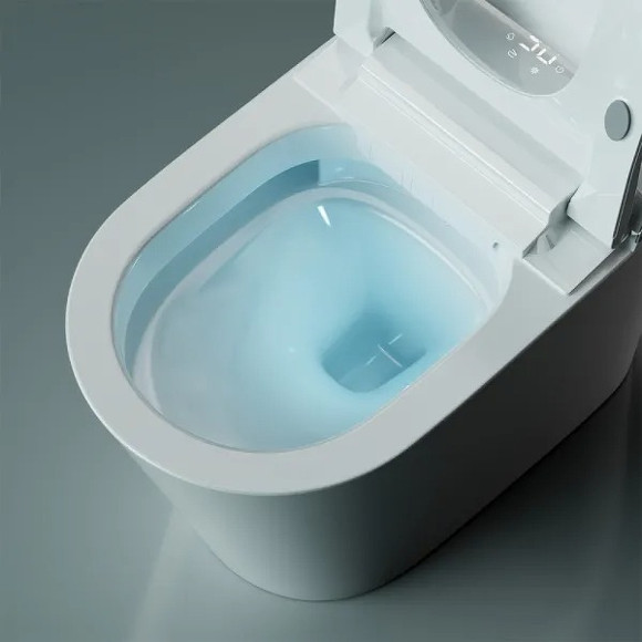 Унитаз биде Timo TE-741 с сиденьем Микролифт