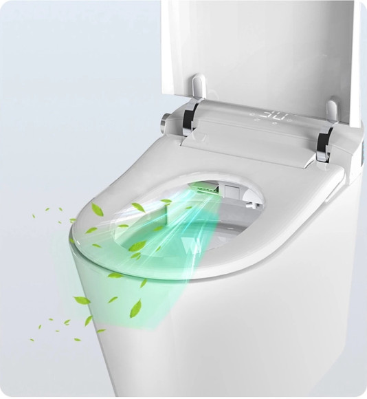 Унитаз биде Timo TE-741 с сиденьем Микролифт