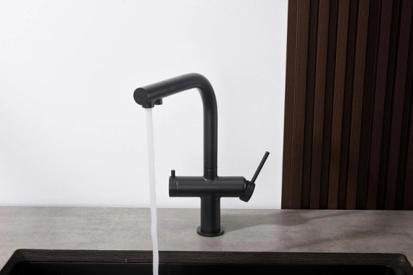 Смеситель для кухни Aquatek Европа AQ1385MB Черный матовый