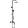 Душевая система Excellent Rain Altar AREX.SY.781BL Черный матовый