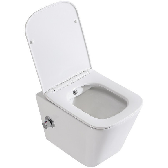 Унитаз биде BelBagno Due BB3103CHR-BS/SC подвесной с сиденьем Микролифт Унитаз биде BelBagno Due BB3103CHR-BS/SC подвесной с сиденьем Микролифт